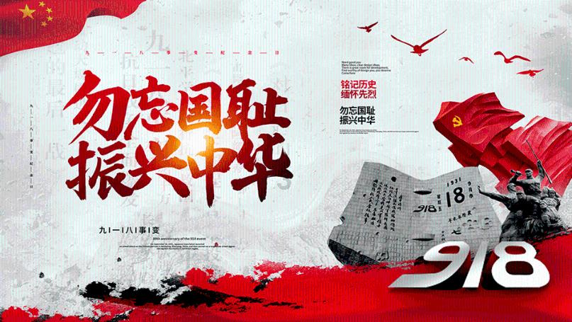 捡到被弃养的猫咪怎么办？游戏画面
